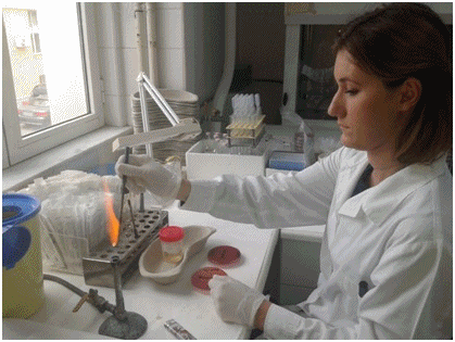 Επιλέχθηκε εικόνα